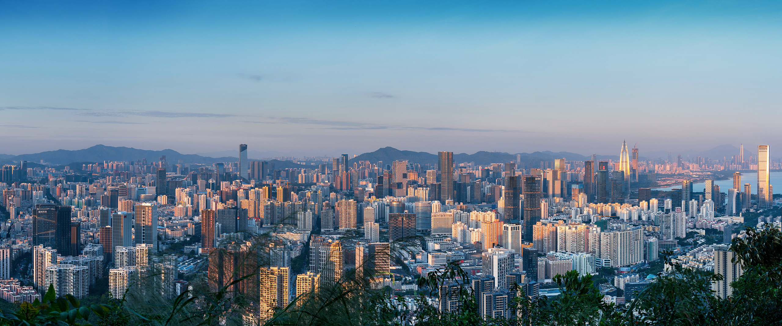 九游ninegame电池